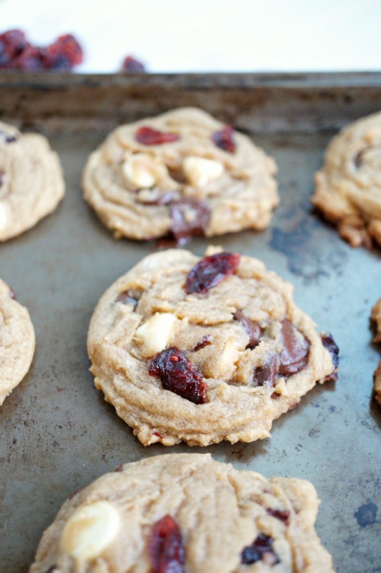 double chocolate chip cranberry cookies - The Baking Fairy